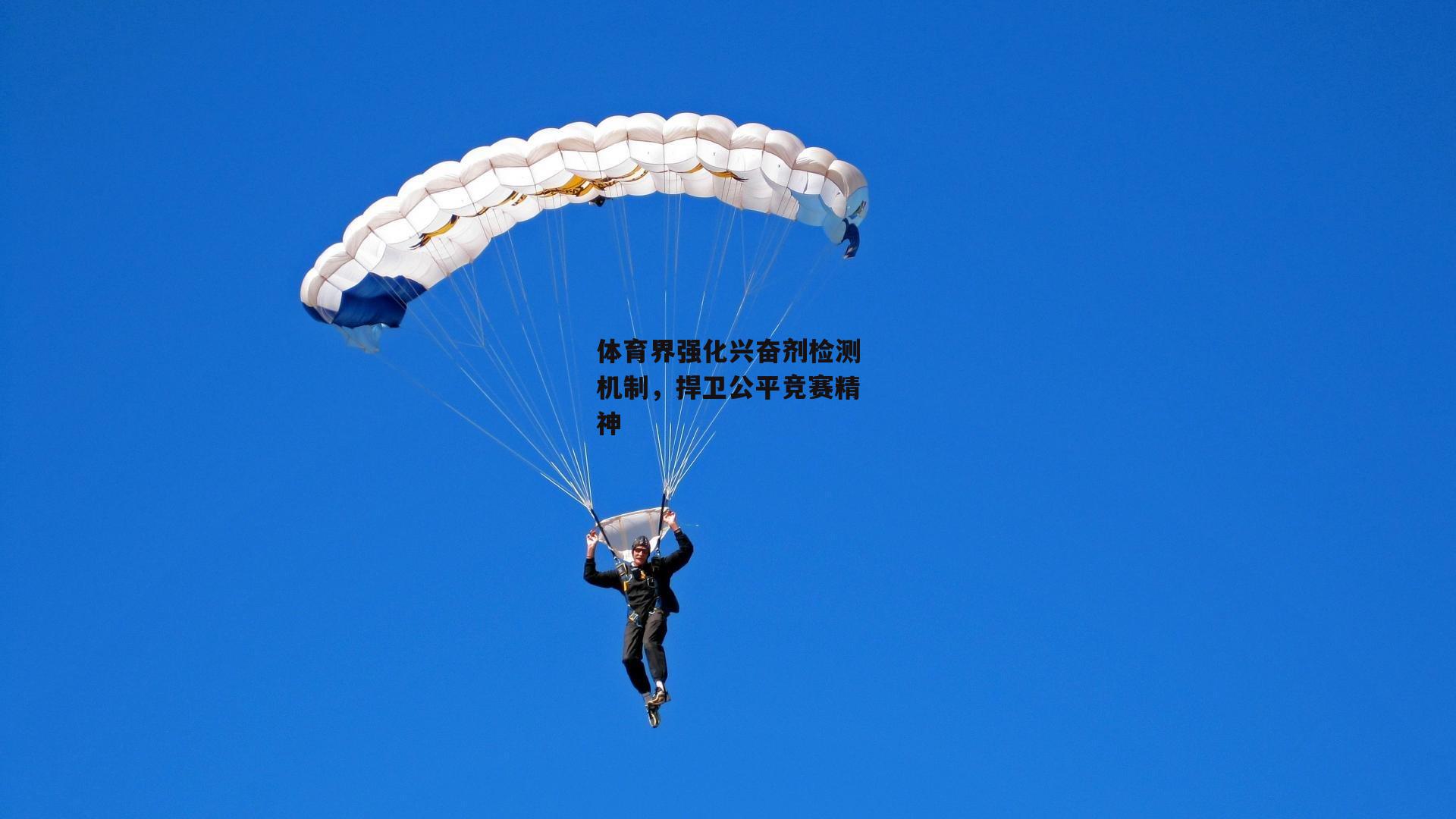 体育界强化兴奋剂检测机制，捍卫公平竞赛精神